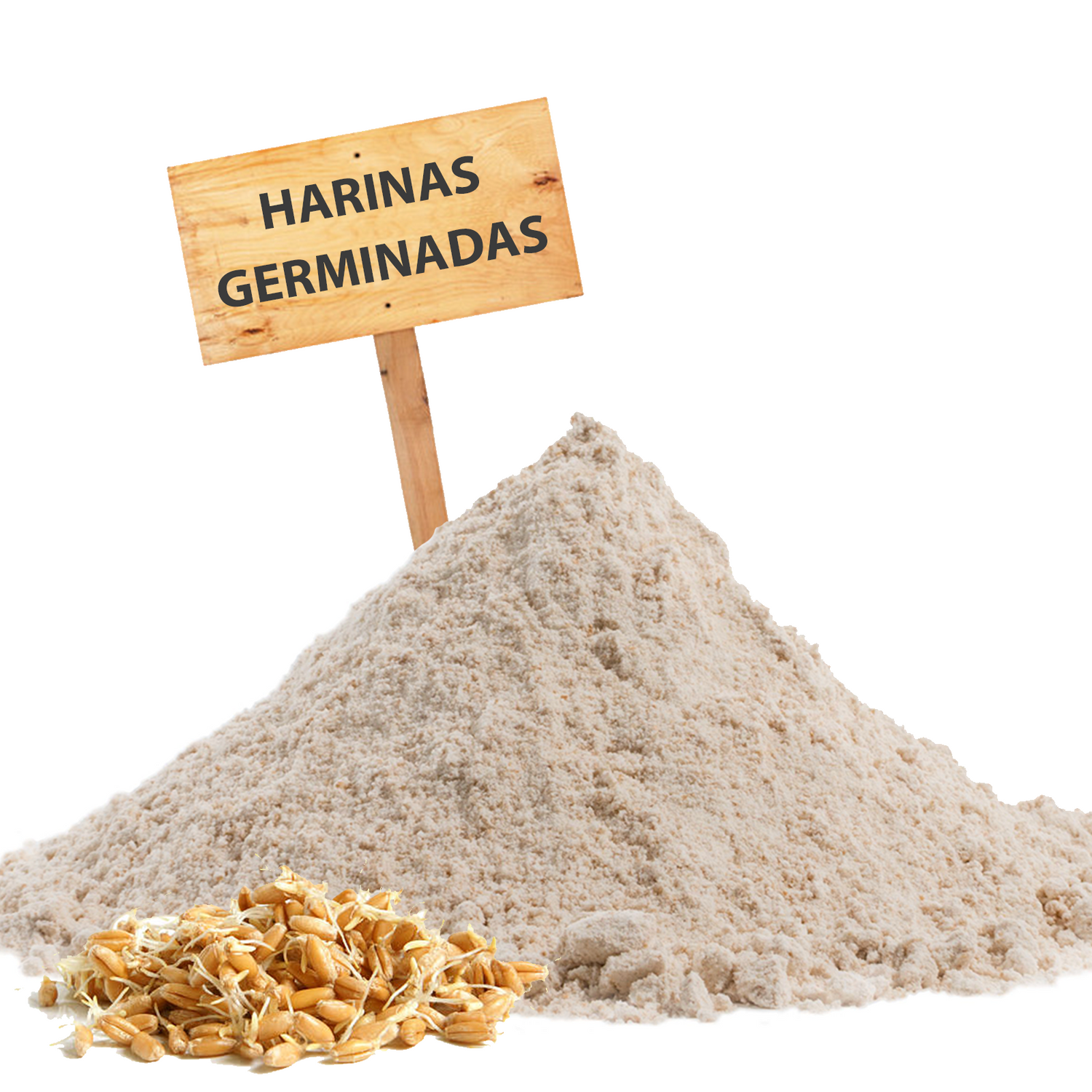 Harinas Germinadas
