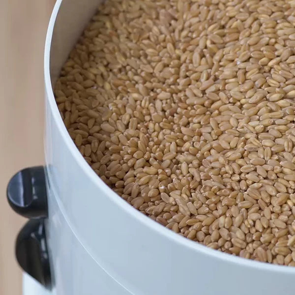 Nutrimill Classic Mill (SOBRE PEDIDO)