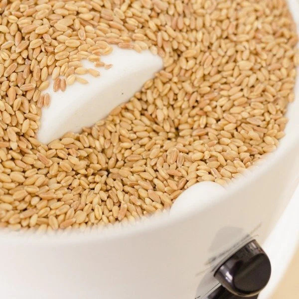 Nutrimill Classic Mill (SOBRE PEDIDO)